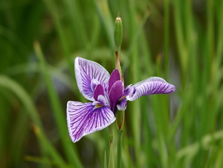 玉名温泉　山もみじの宿　八芳園