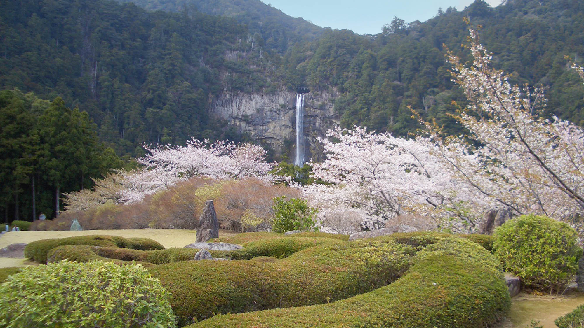 ・【周辺】春の那智の滝。新緑に囲まれ、花々が咲き誇る中、滝の清々しい水しぶきが春の訪れを告げます