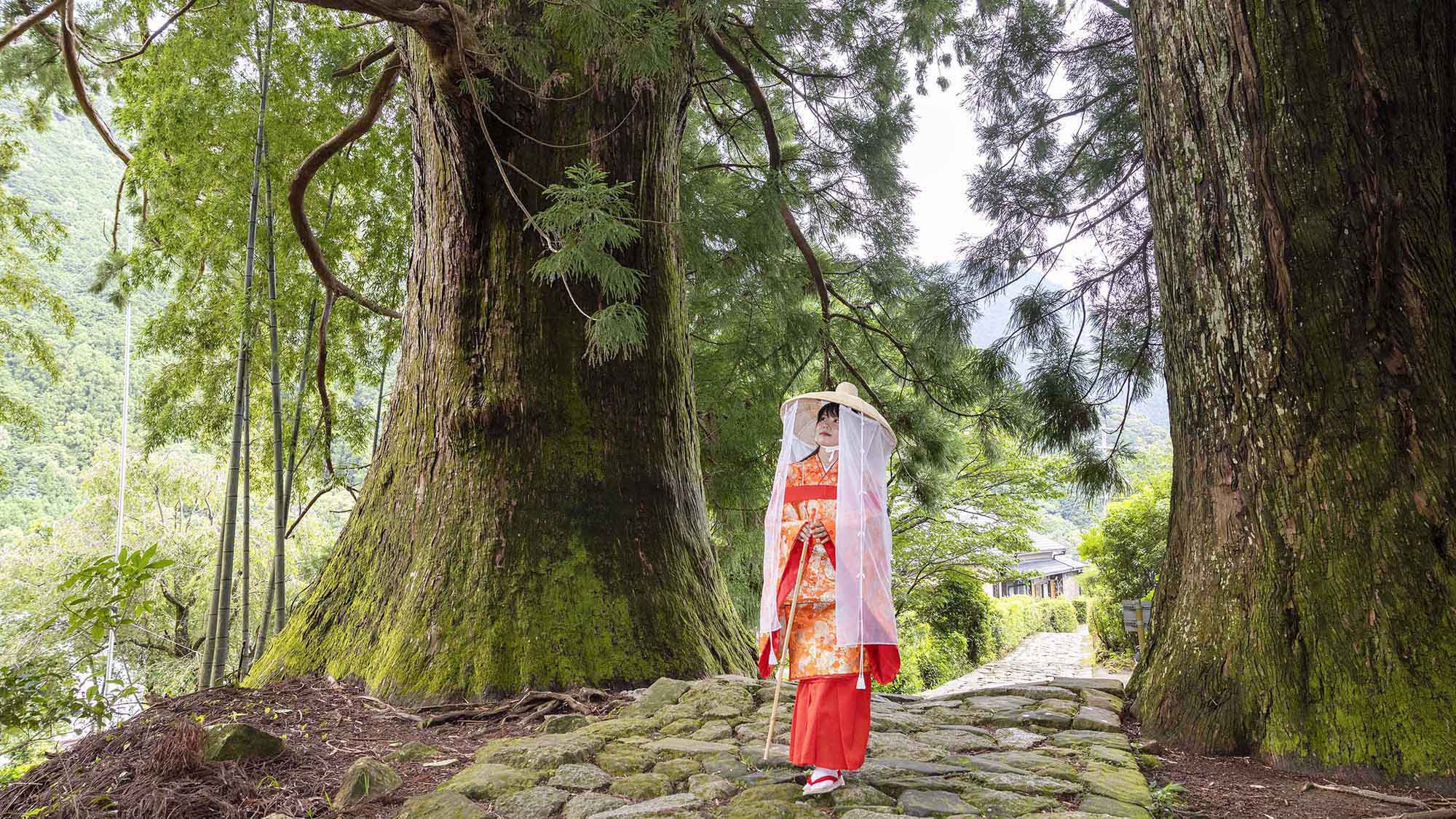 ・【周辺】熊野古道の中で、最も美しい場所の一つ。苔むした石畳が当時をしのばせる