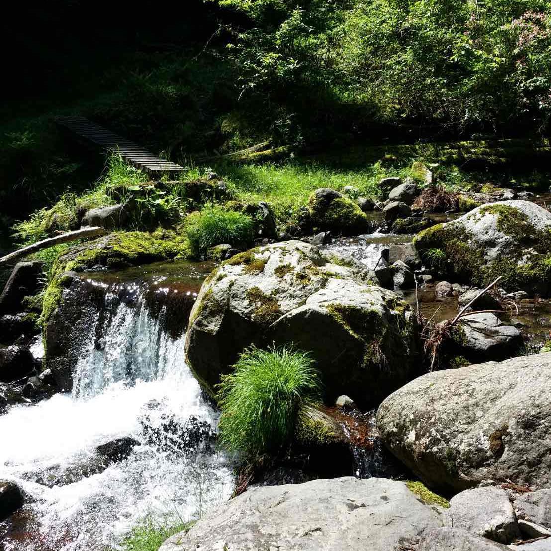 Minshuku Hatsuhi Image 4, Yabu, Japan