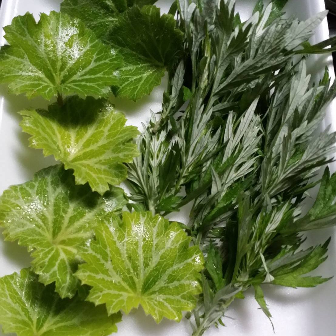 Minshuku Hatsuhi Image 5, Yabu, Japan