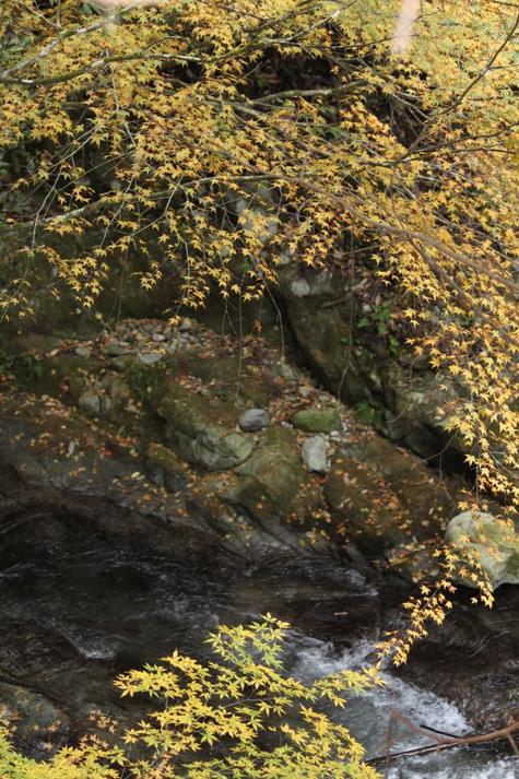 秋の鈍川渓谷