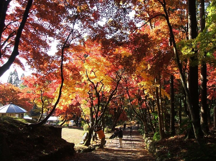 己高庵旅館