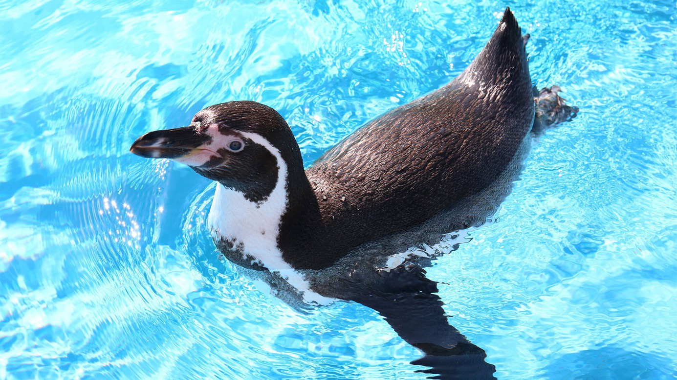 鳥羽水族館