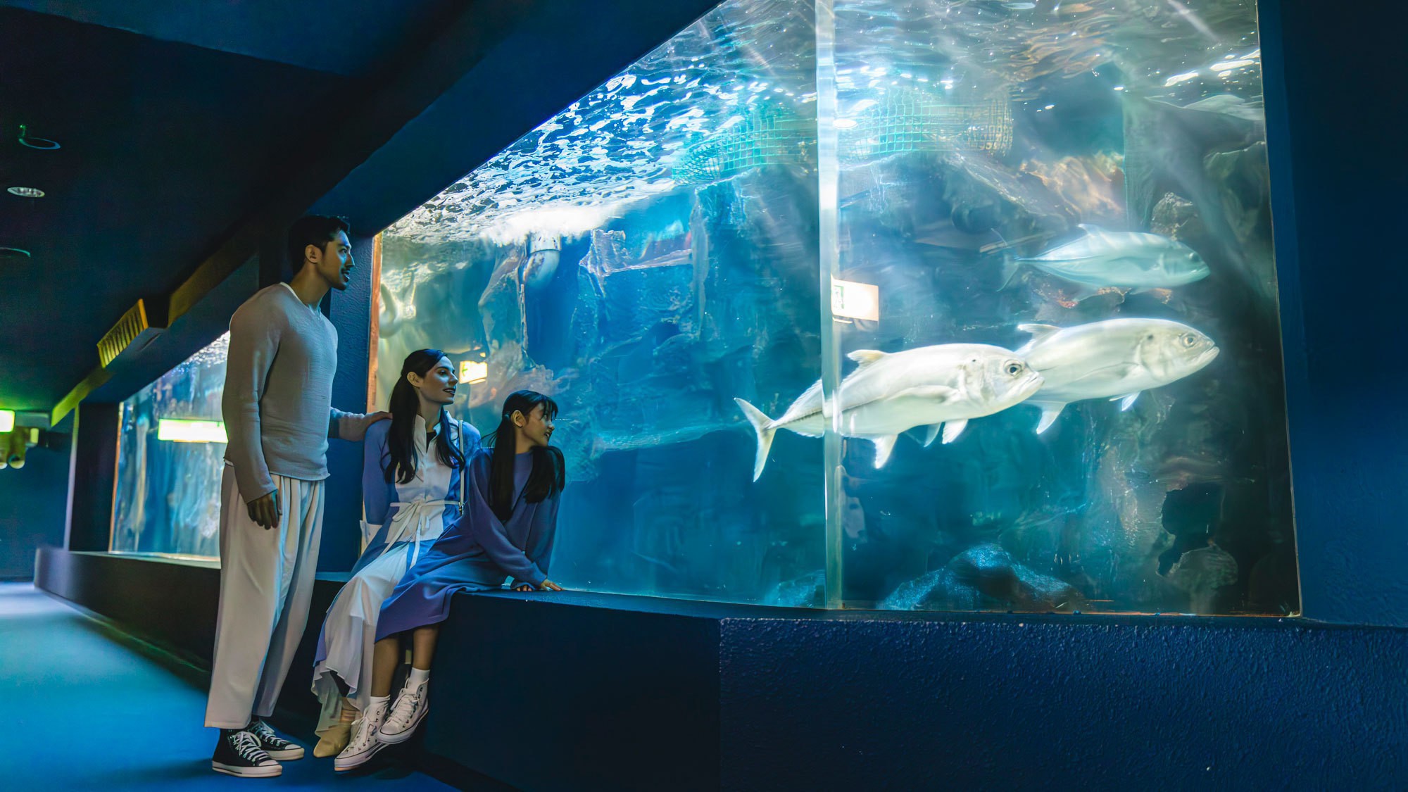 伊勢夫婦岩ふれあい水族館 伊勢シーパラダイス