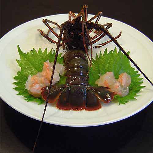 伊勢海老お造り