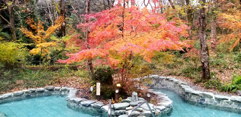 女子露天紅葉