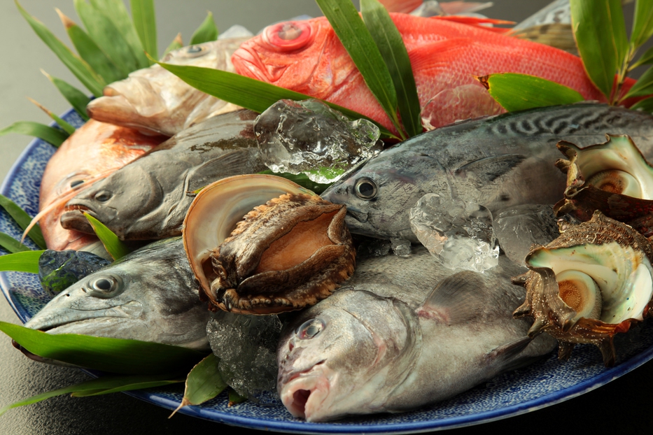 目の前の漁港直行の新鮮な魚介類一例