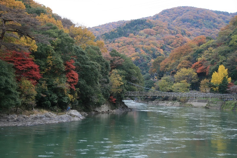 宇治川ライン2