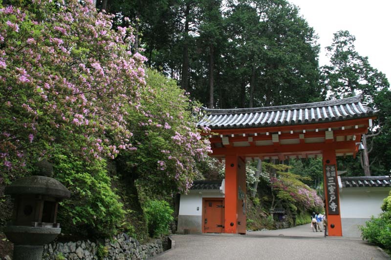 三室戸寺