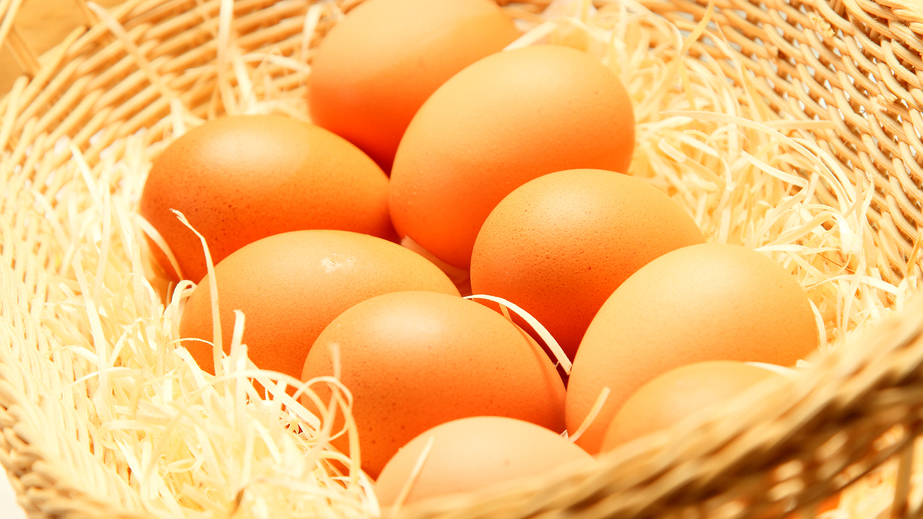 朝食イメージ〈卵の生産量道内一を誇る千歳産の新鮮生卵〉