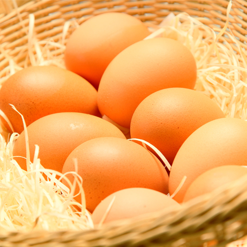 卵の生産量道内一を誇る千歳産の新鮮生卵