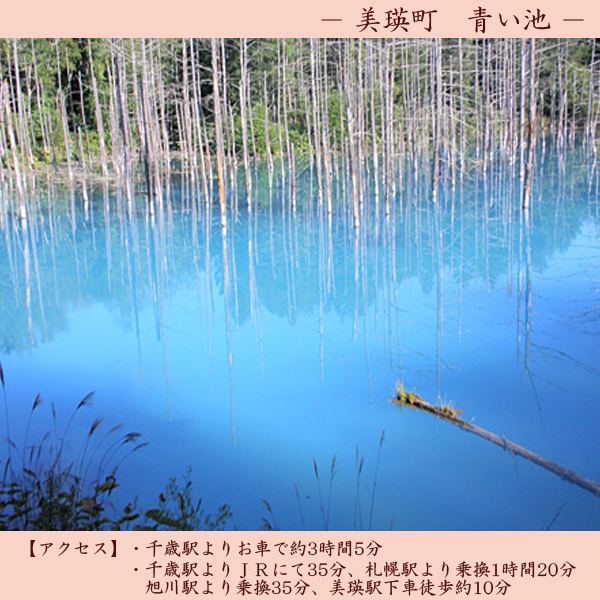 【観光】青い池
