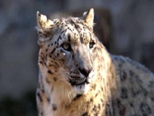 多摩動物園
