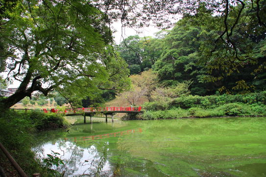 亀山公園