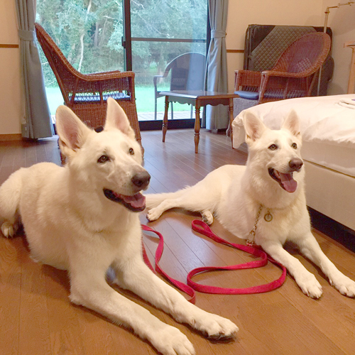 Onyado Hanawarabi Image 2, Munakata, Japan