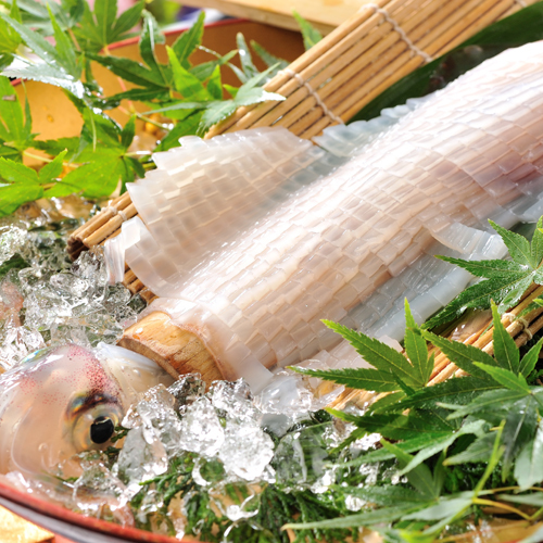 Onyado Hanawarabi Image 1, Munakata, Japan