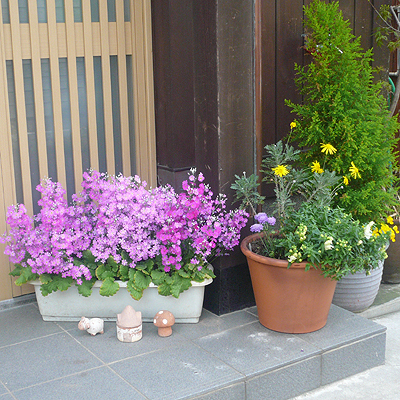 「ふじや」の玄関にも♪