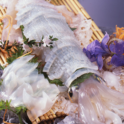 透き通る「活イカ（白イカ）」の甘みを是非♪（別注文で承ります）