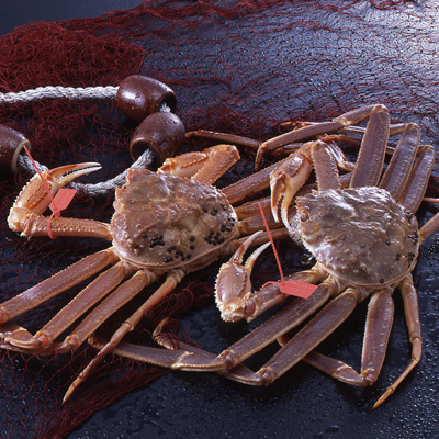 毎冬、多くのお客様がこの「カニ」だけを目当てにお越しくださいます