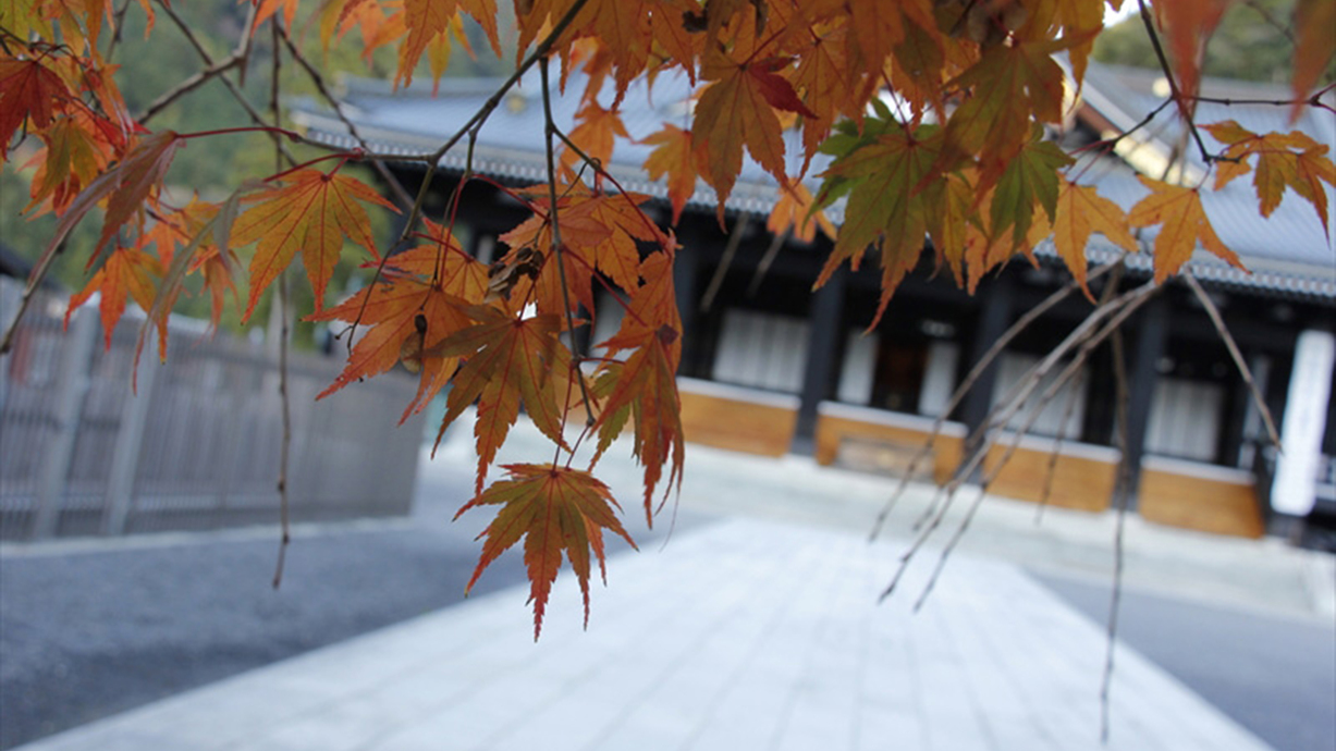 観光久遠寺〜紅葉と本堂。日本の秋を感じてください〜山本坊より車で5分