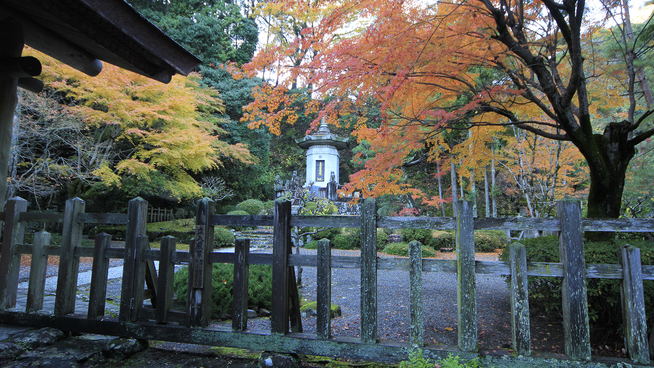 観光久遠寺〜秋には紅葉も愉しむことができます〜山本坊より車で5分