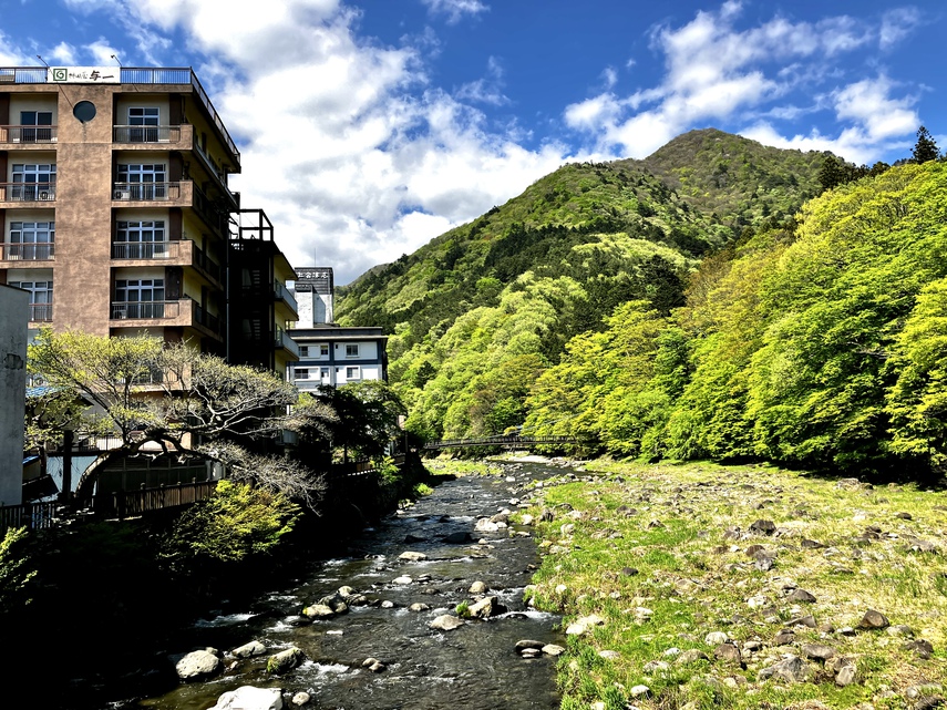 箒川も緑が映える季節になりました