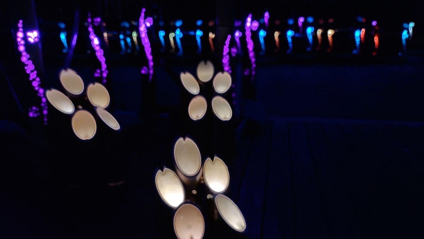 幻想的な竹灯籠ライトアップ〜ほうき川遊歩道