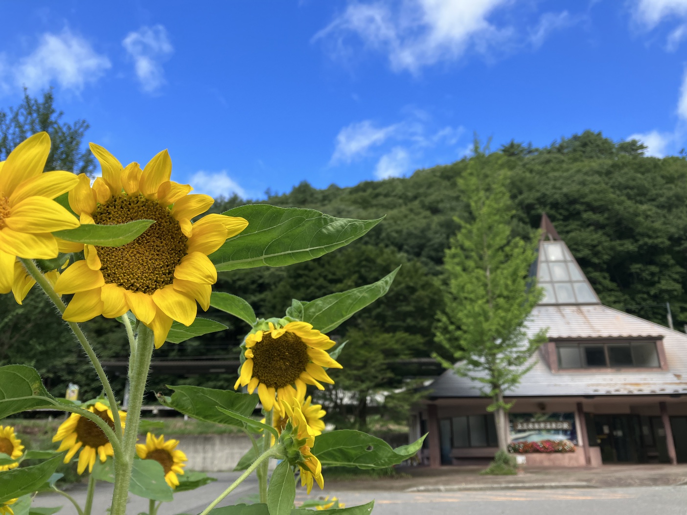 上三依塩原温泉口駅舎