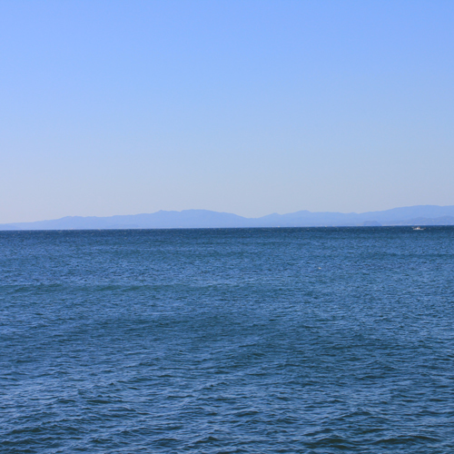 【景色】海側のお部屋からは穏やかな有明海が望めます