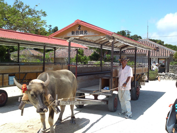 水牛車観光