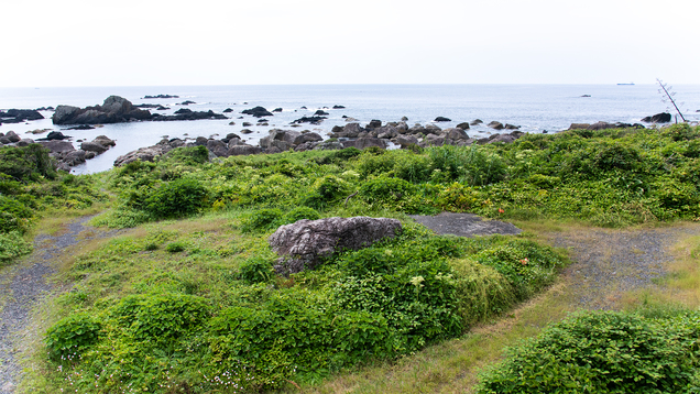 *【客室一例】お部屋からは室戸の海をご覧いただけます。