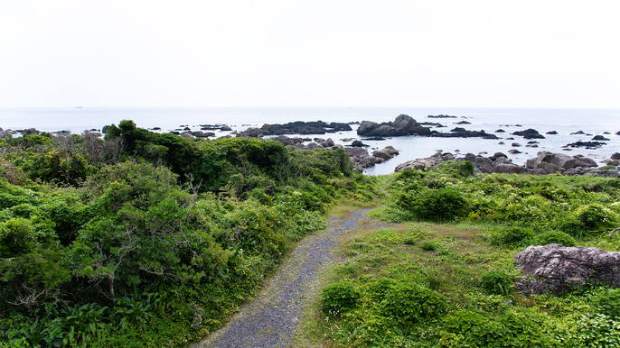 *【客室一例】お部屋からは室戸の海をご覧いただけます。