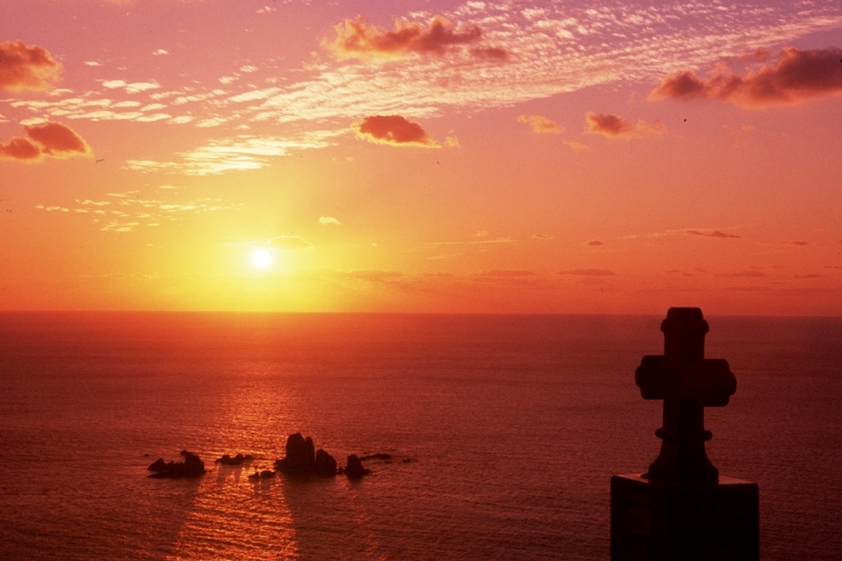 写真7