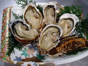 カキ・冬生カキ。ぷりぷりの食感、