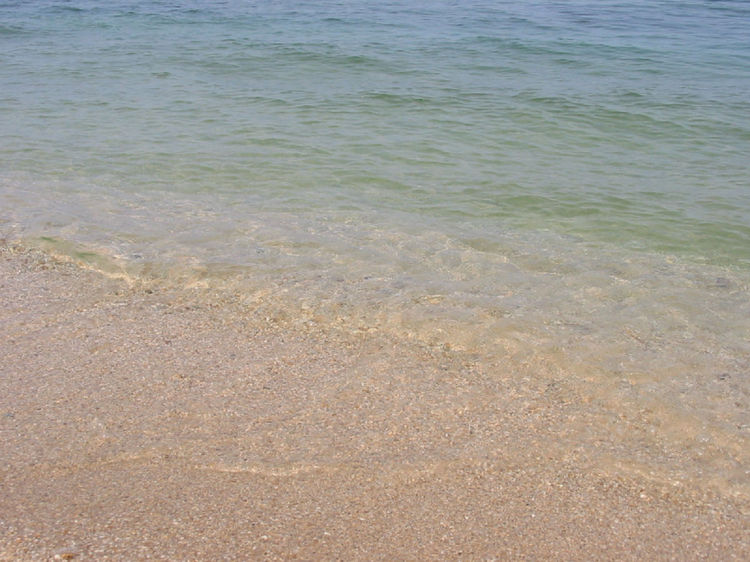 琵琶湖