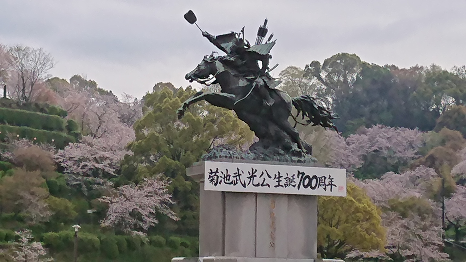 菊池武光騎馬像（桜）