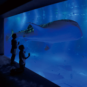 Wakura Onsen Aji na Yado Housenkaku Image 4, Nanao, Japan