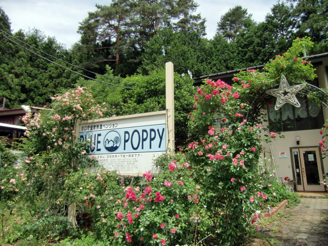 入り口アーチと看板はバラに覆われます。