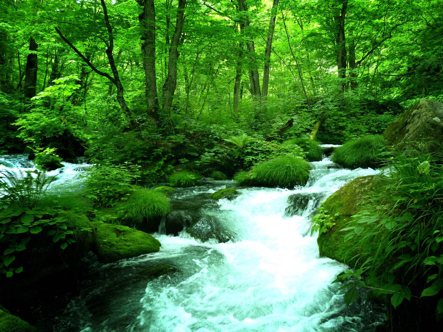 奥入瀬渓流 石ケ戸付近の眺め