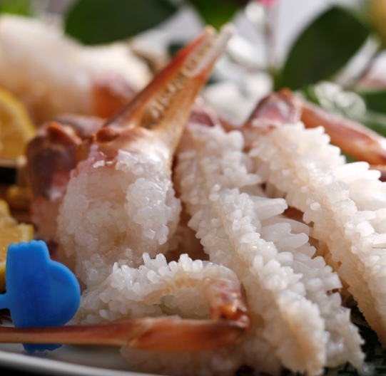 花が咲く活津居山カニのカニ刺しを