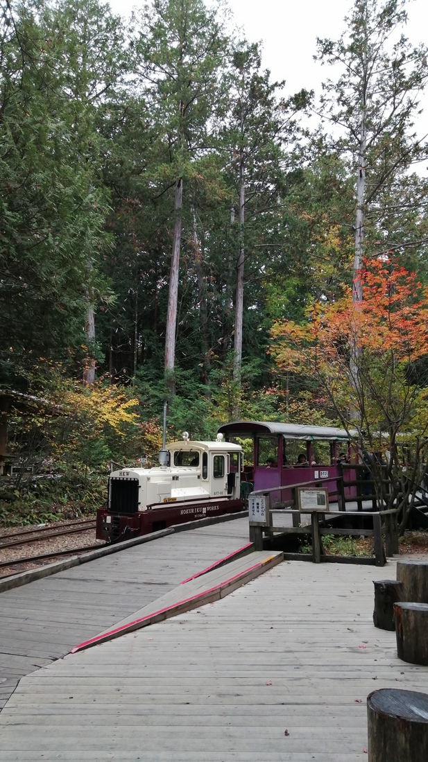 赤沢森林公園