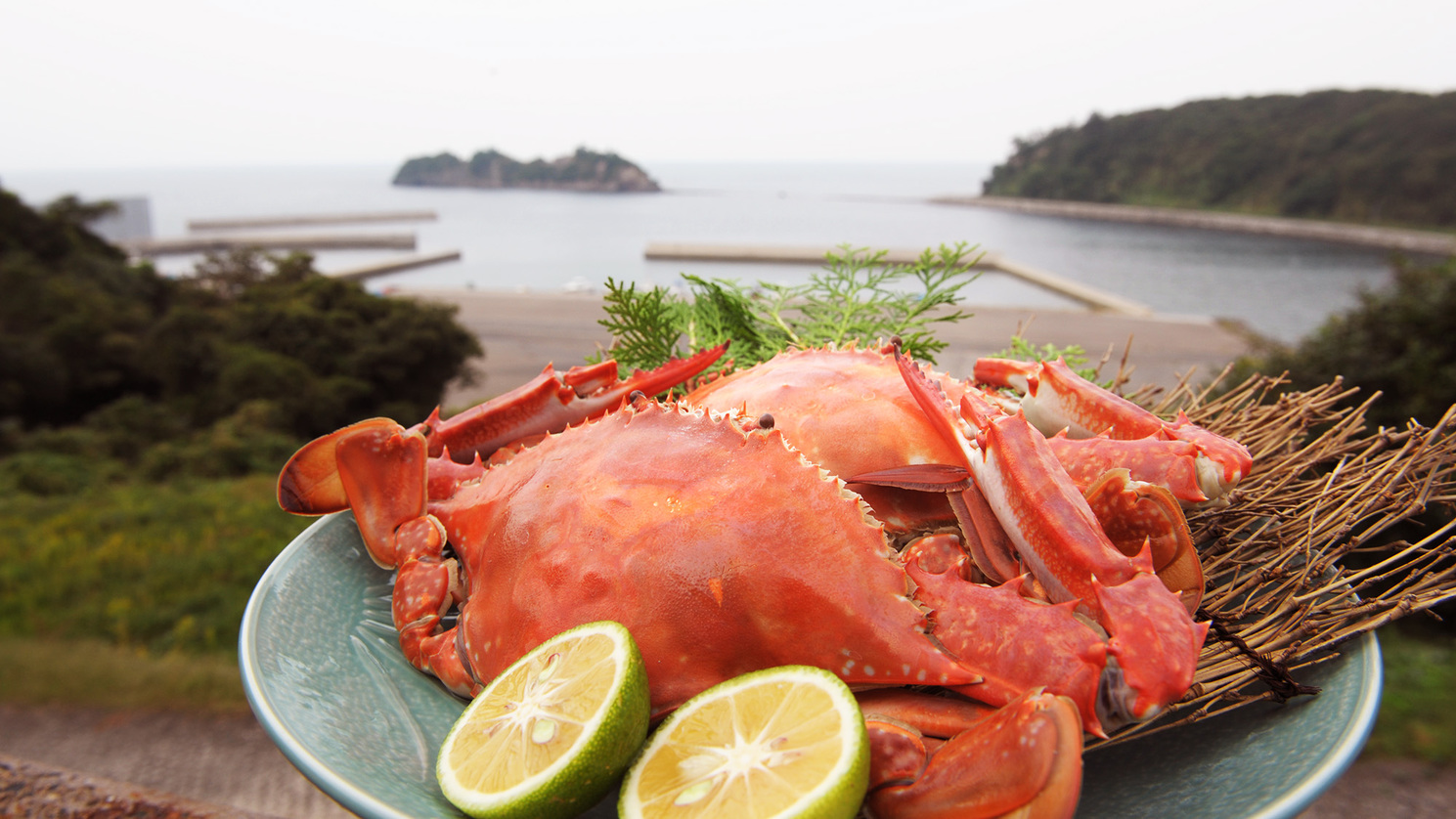 【夕食一例】岬ガザミ。味が繊細で上品な甘みをもっている美味しいカニをどうぞ。
