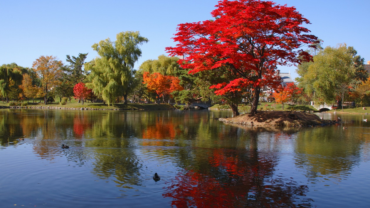 中島公園