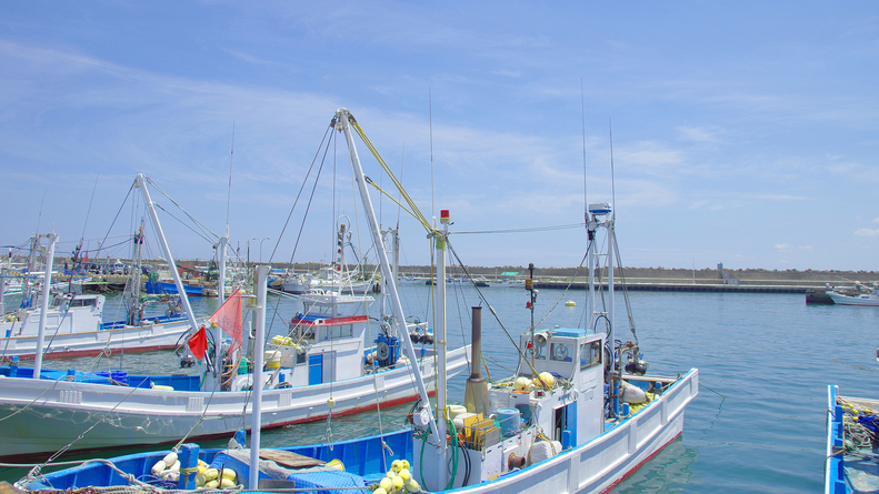 **【大洗漁港】生シラス・タイ・ヒラメ・スズキなど、旬の地魚を提供しているお店がたくさん！