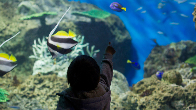 **【アクアワールド大洗】大洗の生物を中心にした体験型展示で「観る」だけでなく「学べる」水族館。