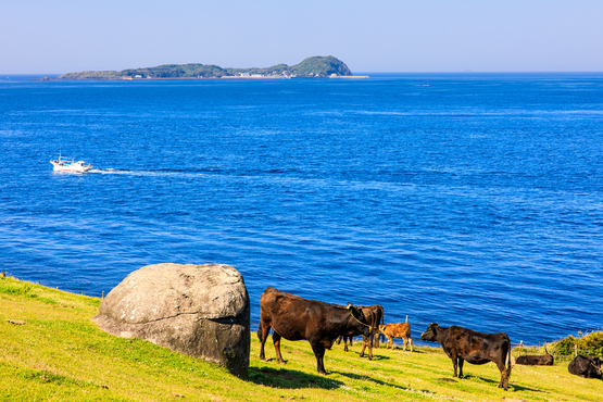 加部島