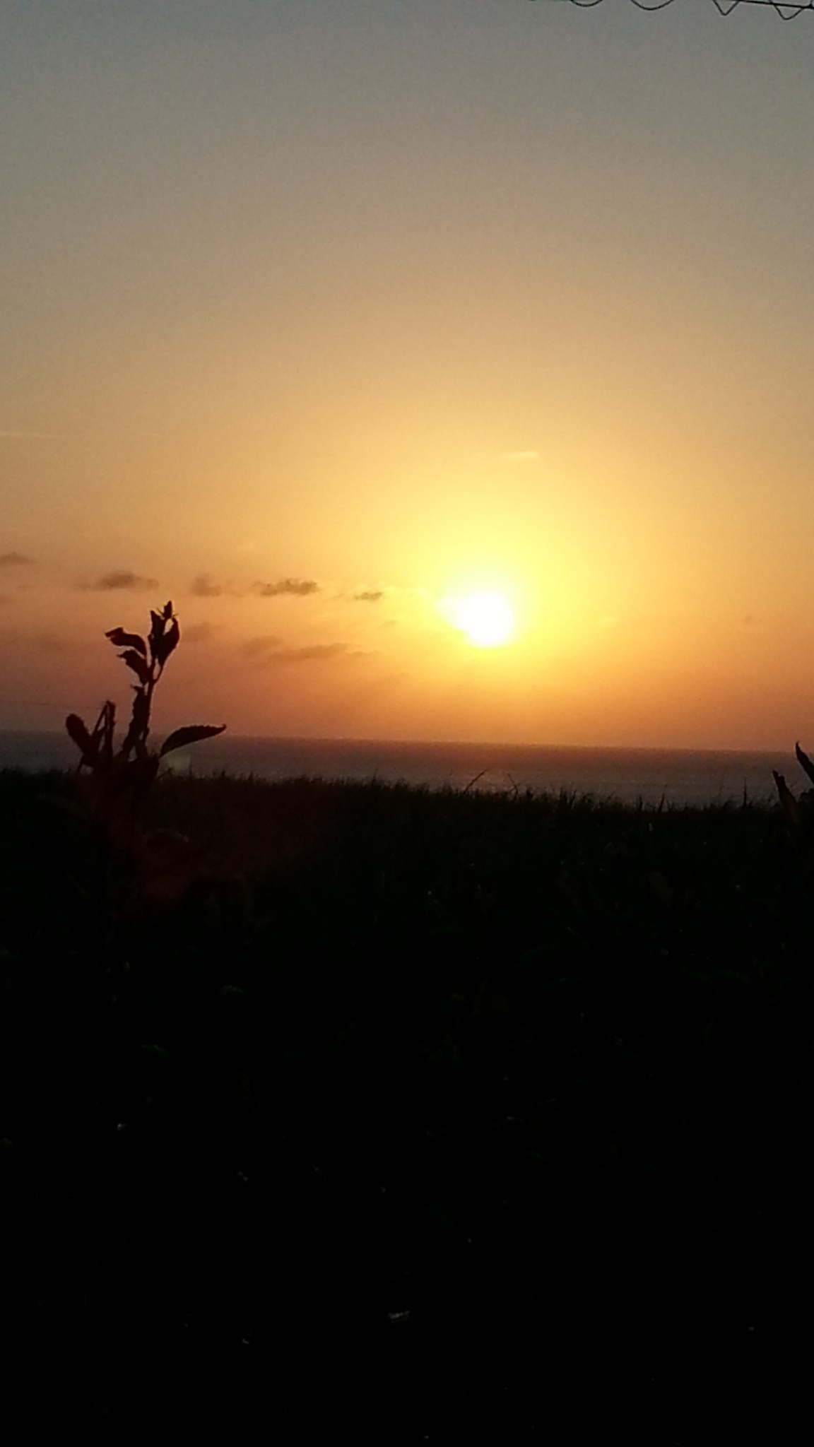 近郊（夕日）