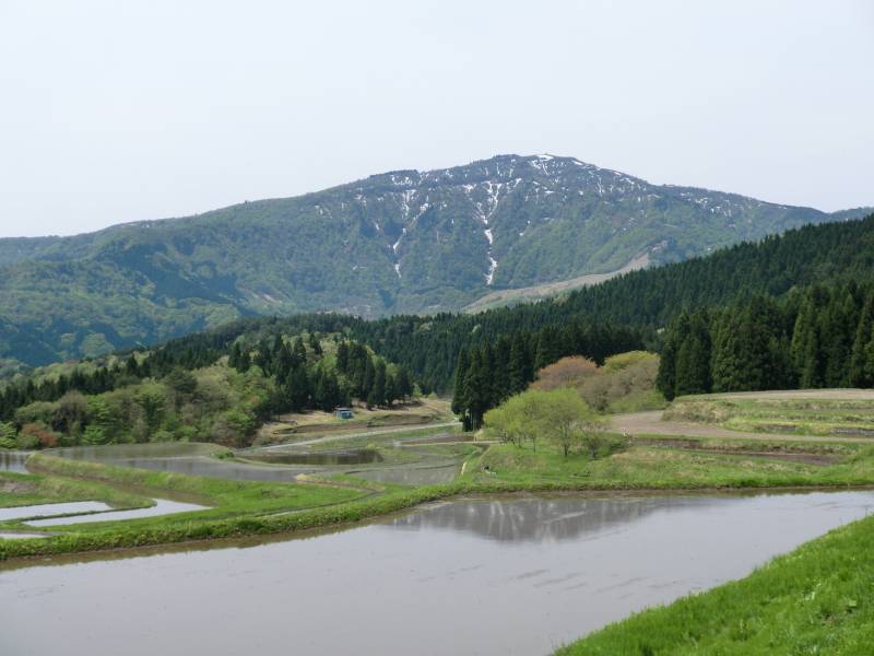 別宮棚田