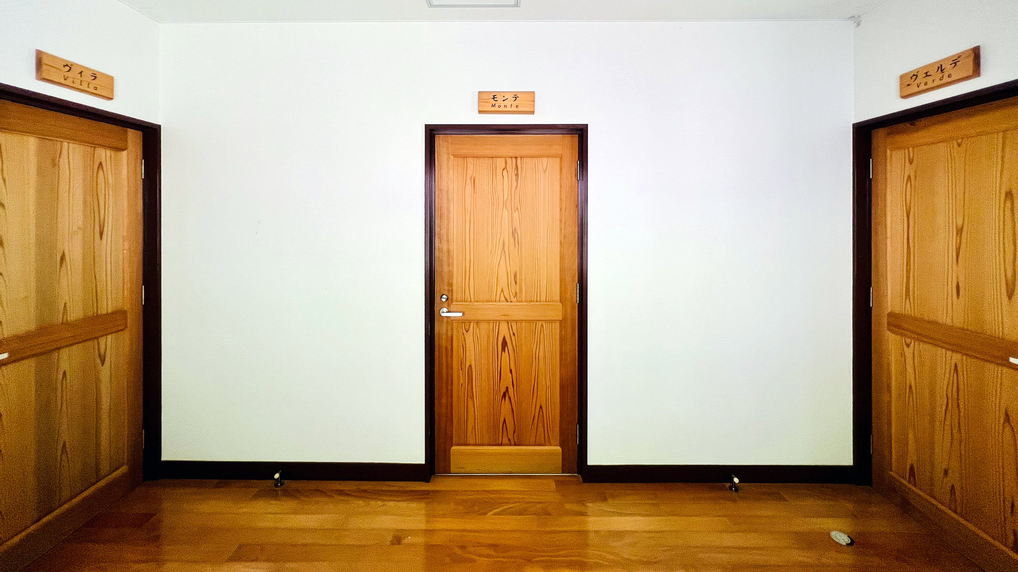 【本館一階洋室ツイン（バス・トイレ付）】木目調のお部屋の扉